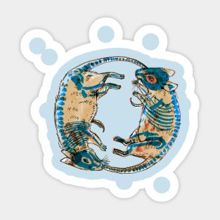 Rat Circle Sticker